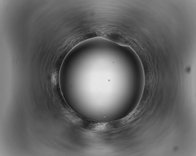 X0000099420090200805091253