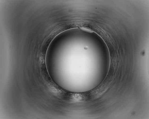 X0000099420091200805091253