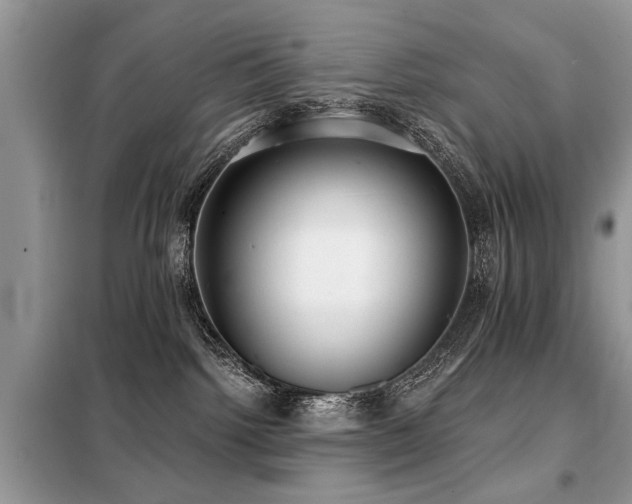 X0000099420092200805091253