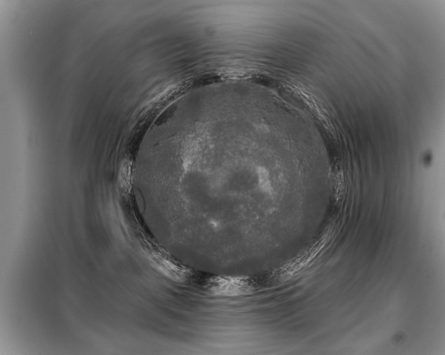 X0000099420093200805091253
