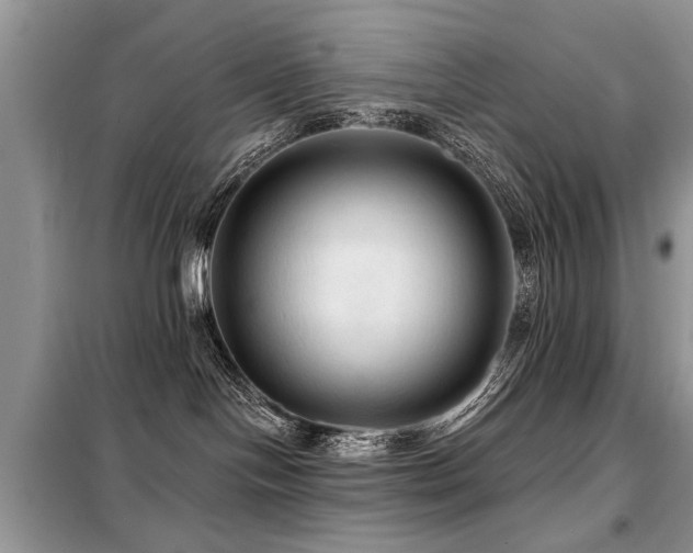 X0000099420094200805091253