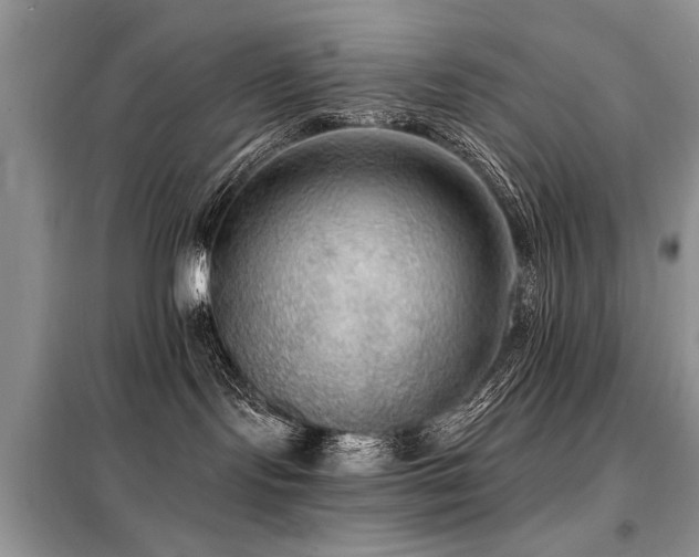 X0000099420095200805091253