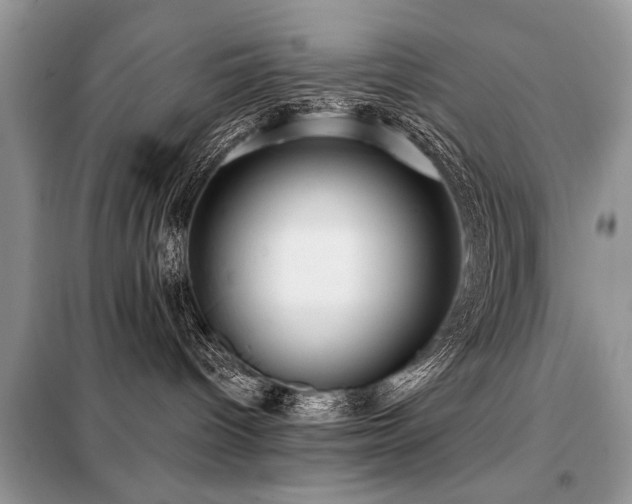 X0000099420096200805091253