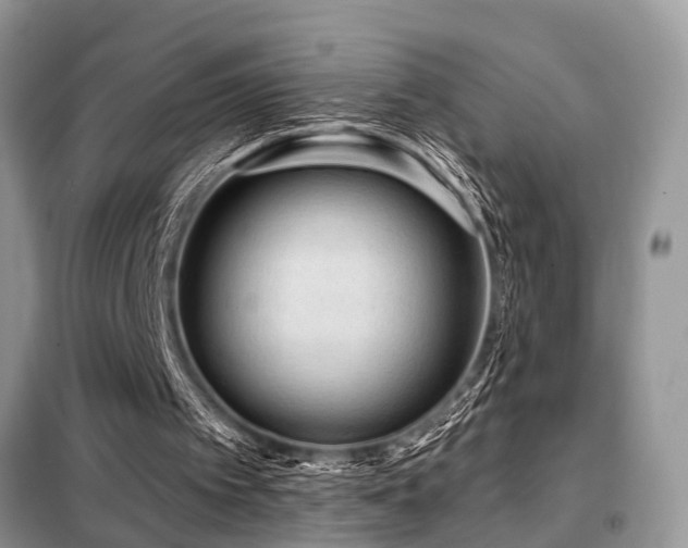 X0000099420097200805091252