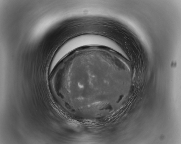 X0000099420099200805091252