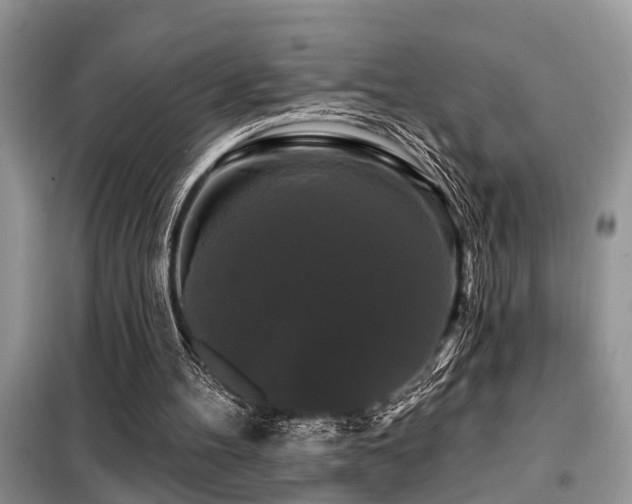 X0000099420100200805091252