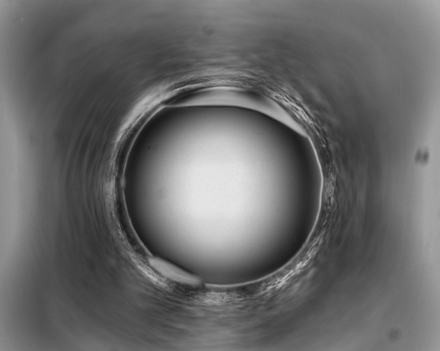 X0000099420101200805091252