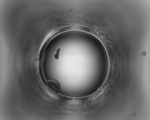 X0000099420102200805091252