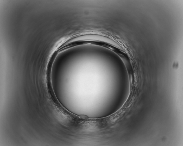 X0000099420104200805091252