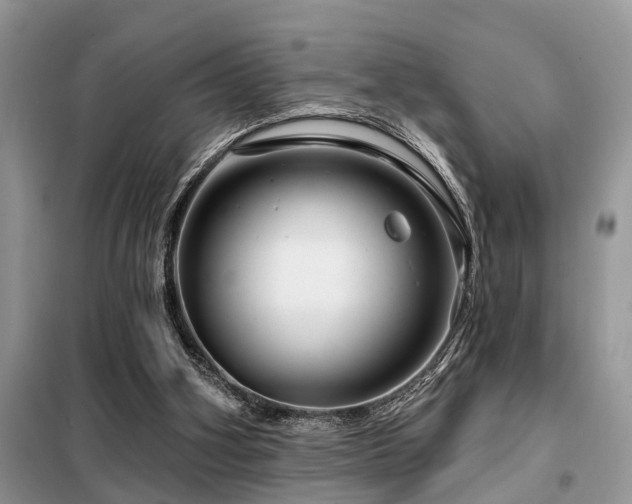 X0000099420106200805091252