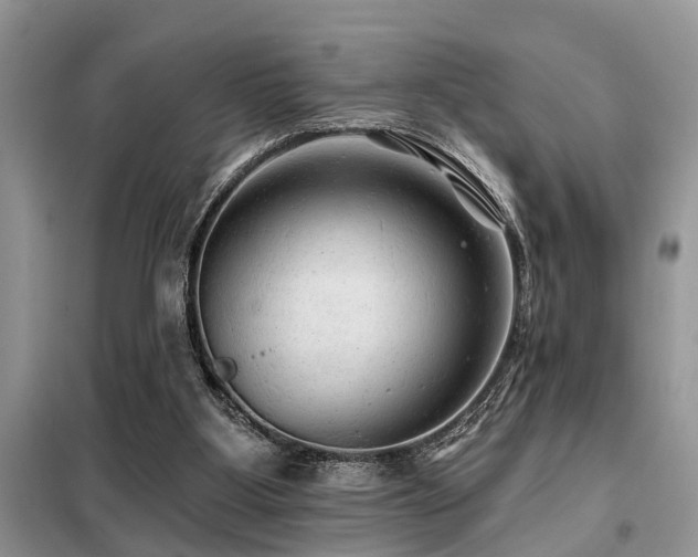X0000099420107200805091252
