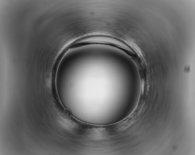 X0000099420108200805091252