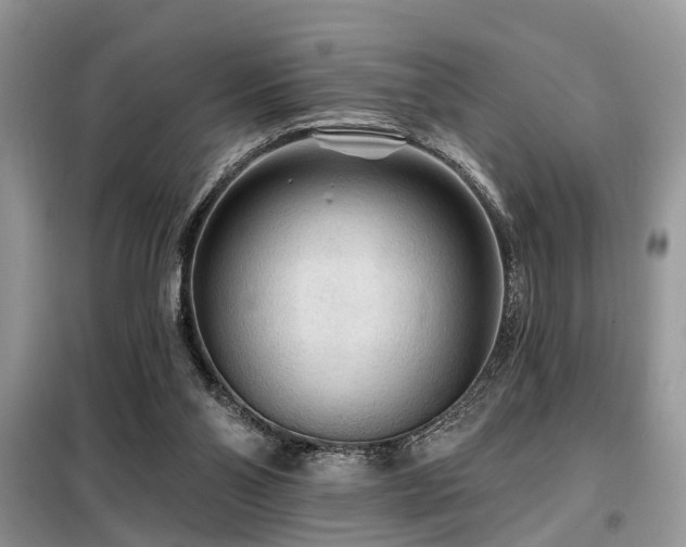 X0000099420110200805091252