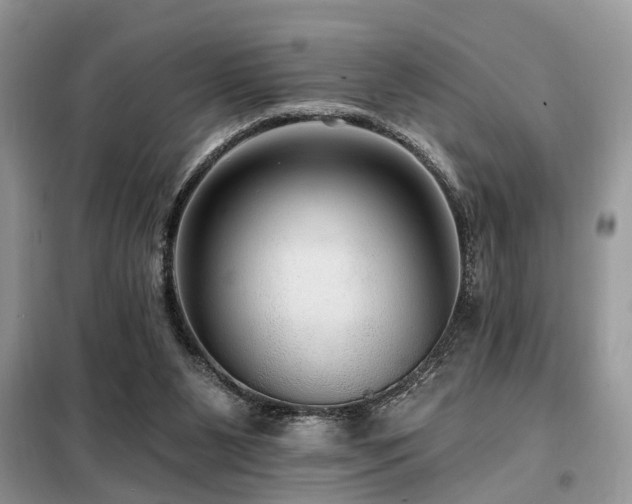 X0000099420111200805091252