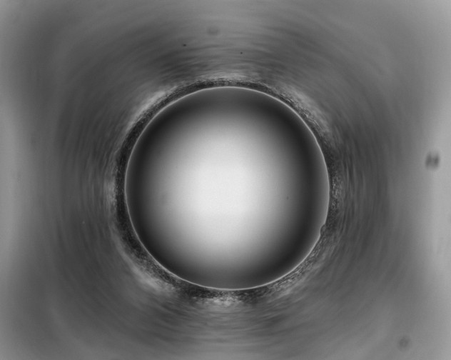 X0000099420112200805091252