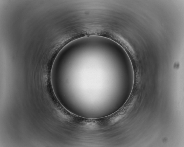 X0000099420113200805091252