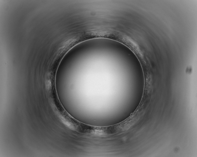 X0000099420114200805091252