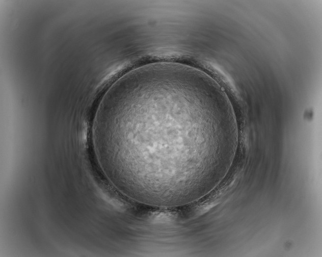 X0000099420115200805091252