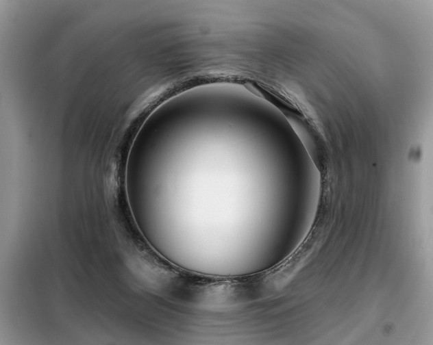 X0000099420116200805091252