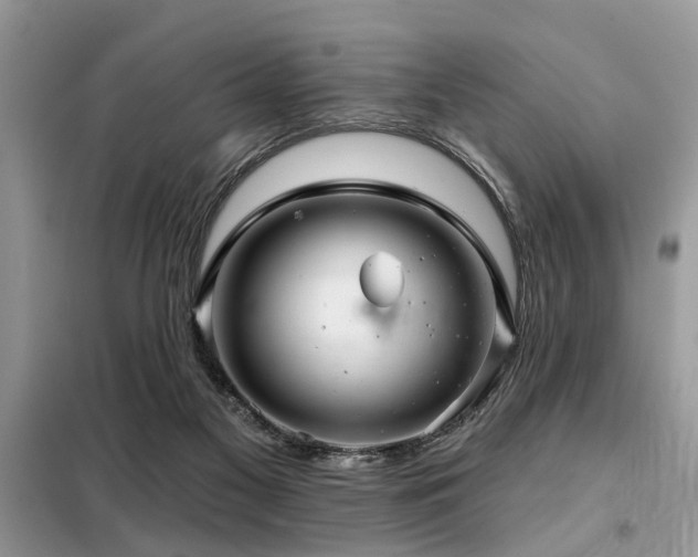 X0000099420117200805091252