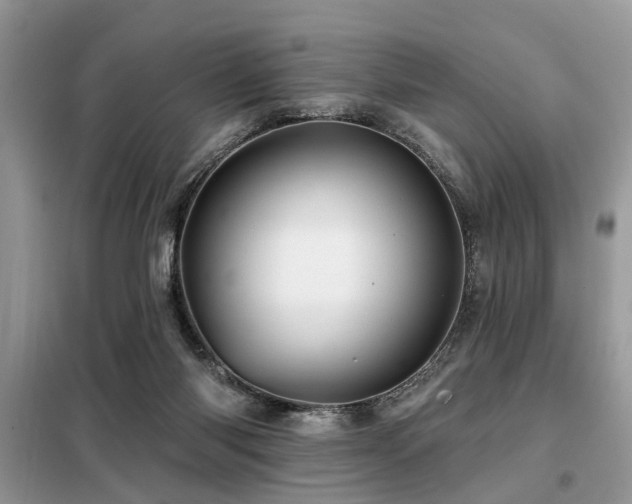 X0000099420118200805091252