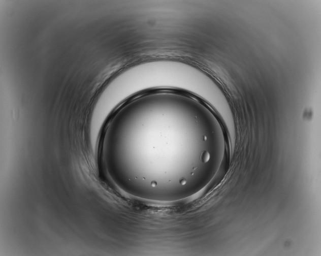 X0000099420120200805091252