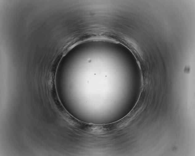 X0000099420121200805091252