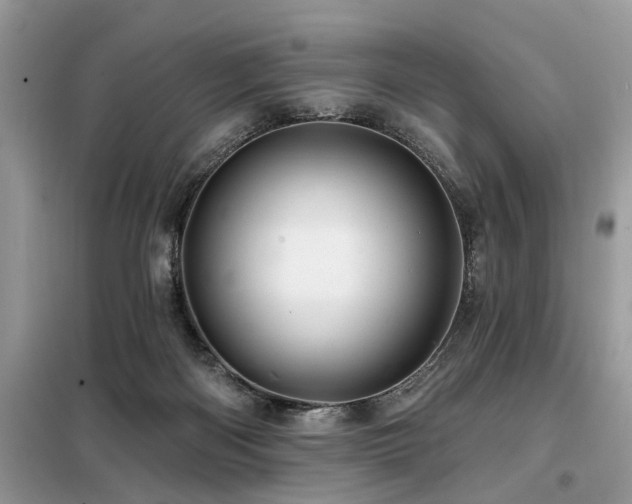 X0000099420122200805091252