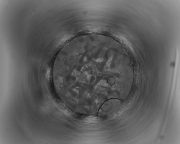 X0000099420123200805091252