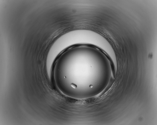 X0000099420124200805091252