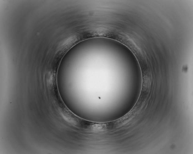 X0000099420126200805091252