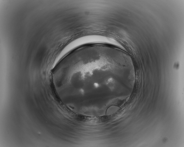 X0000099420127200805091252