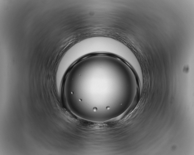 X0000099420128200805091252