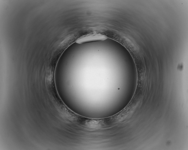 X0000099420129200805091252