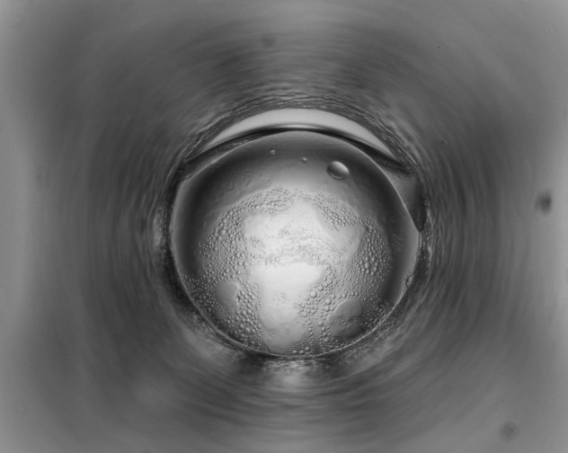 X0000099420131200805091252