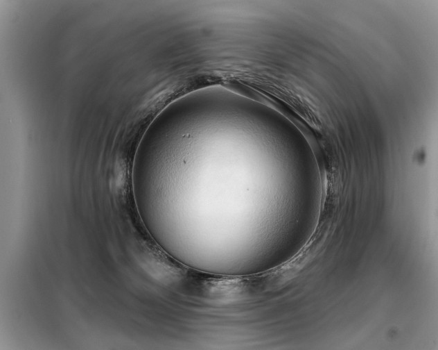 X0000099420132200805091252