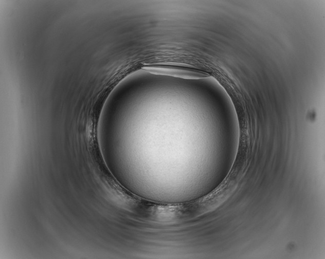 X0000099420134200805091252