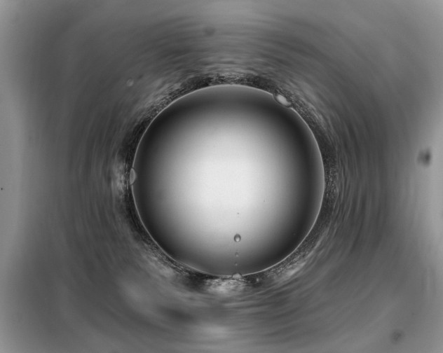 X0000099420135200805091252