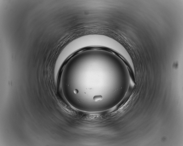 X0000099420136200805091252