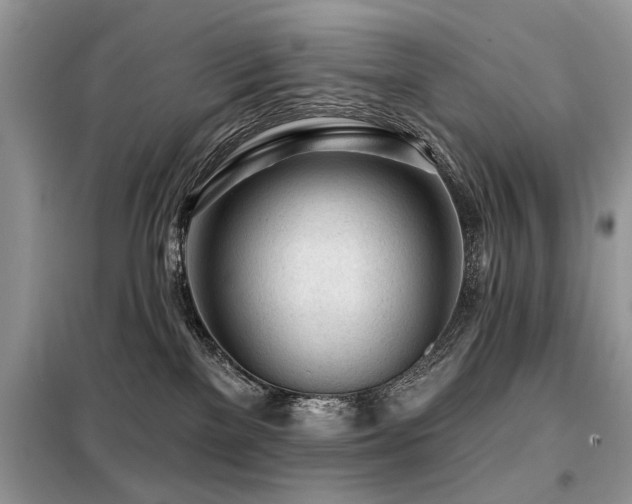 X0000099420137200805091252