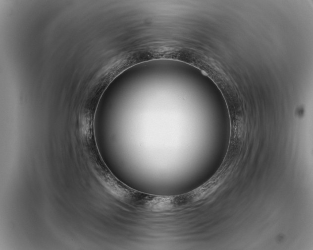 X0000099420138200805091252