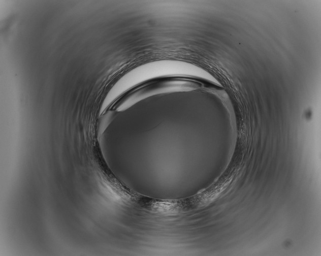 X0000099420139200805091252