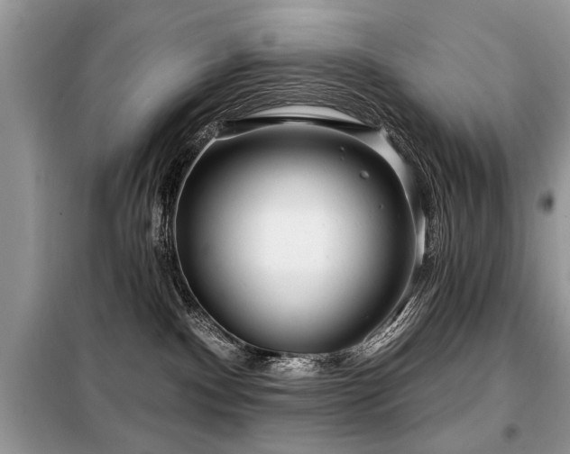 X0000099420140200805091252