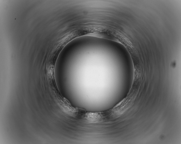 X0000099420141200805091252