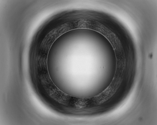 X0000099420142200805091252