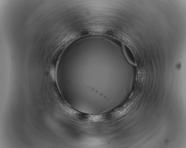 X0000099420143200805091252