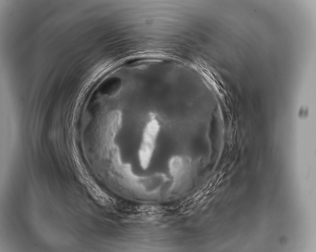 X0000099420145200805091251