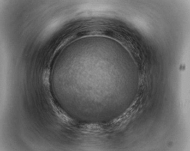 X0000099420146200805091251
