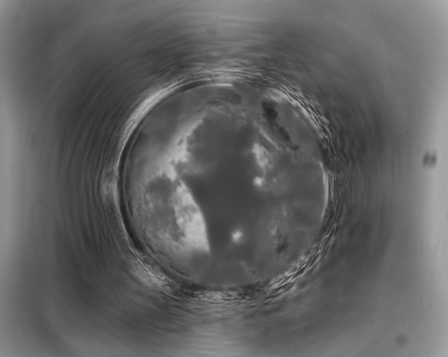 X0000099420147200805091251