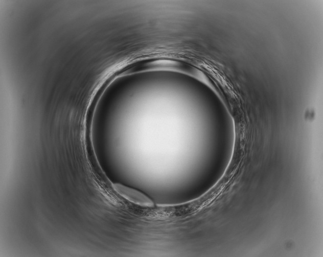 X0000099420148200805091251